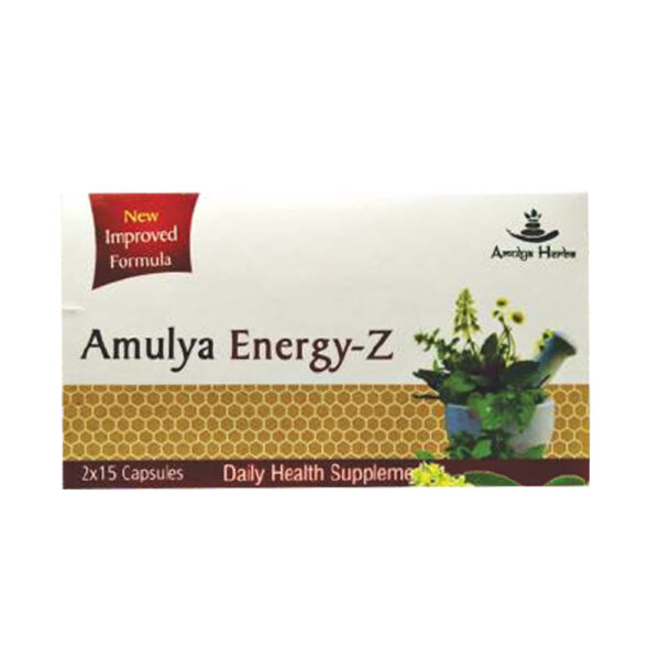 Amulya Energy-Z